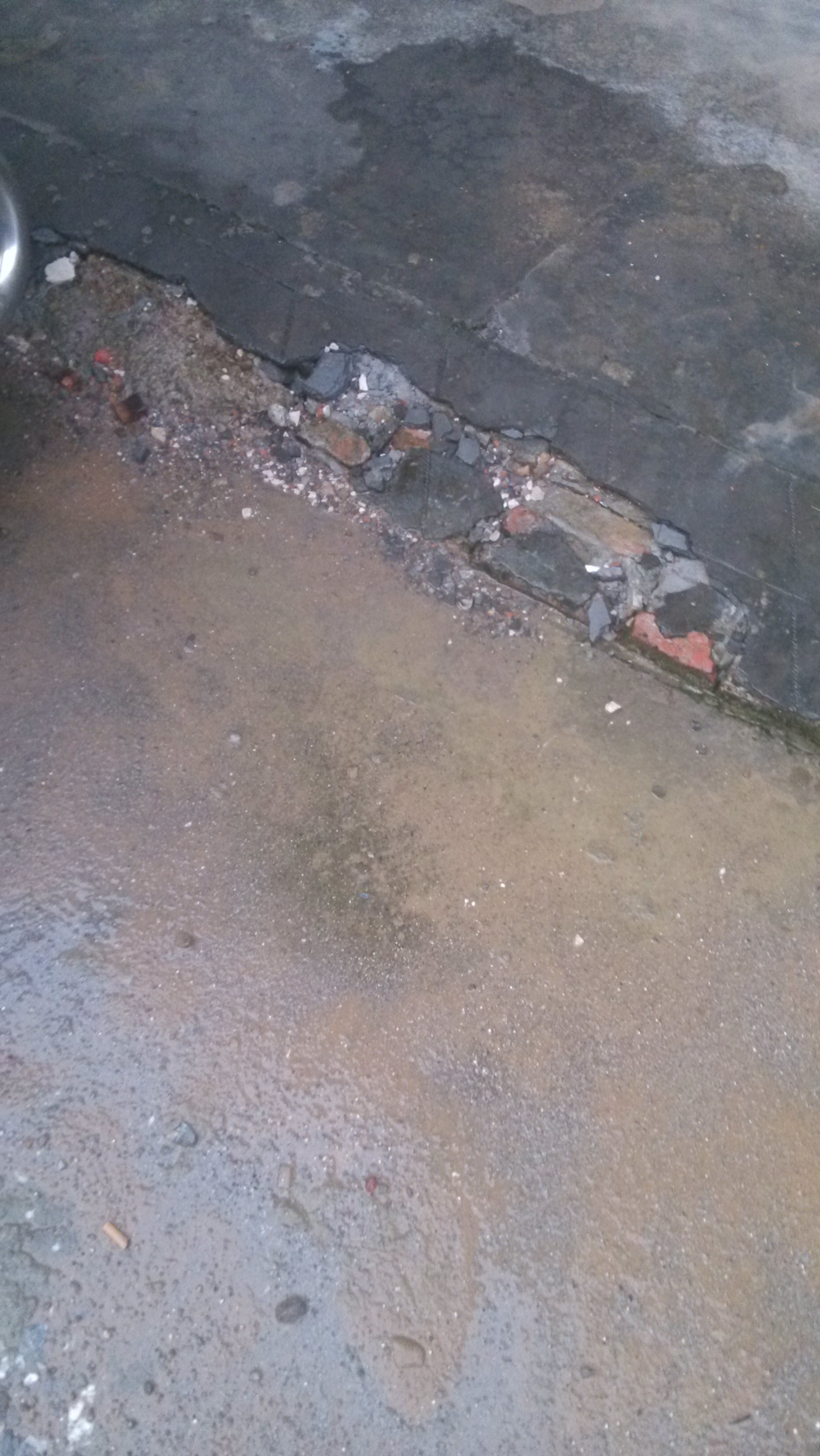 栗木如此镇容。528 / 作者:美人一笑 / 帖子ID:93400