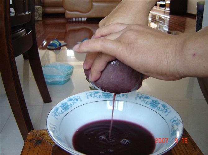 做葡萄酒全过程（详细图解）873 / 作者:星想事成 / 帖子ID:93524