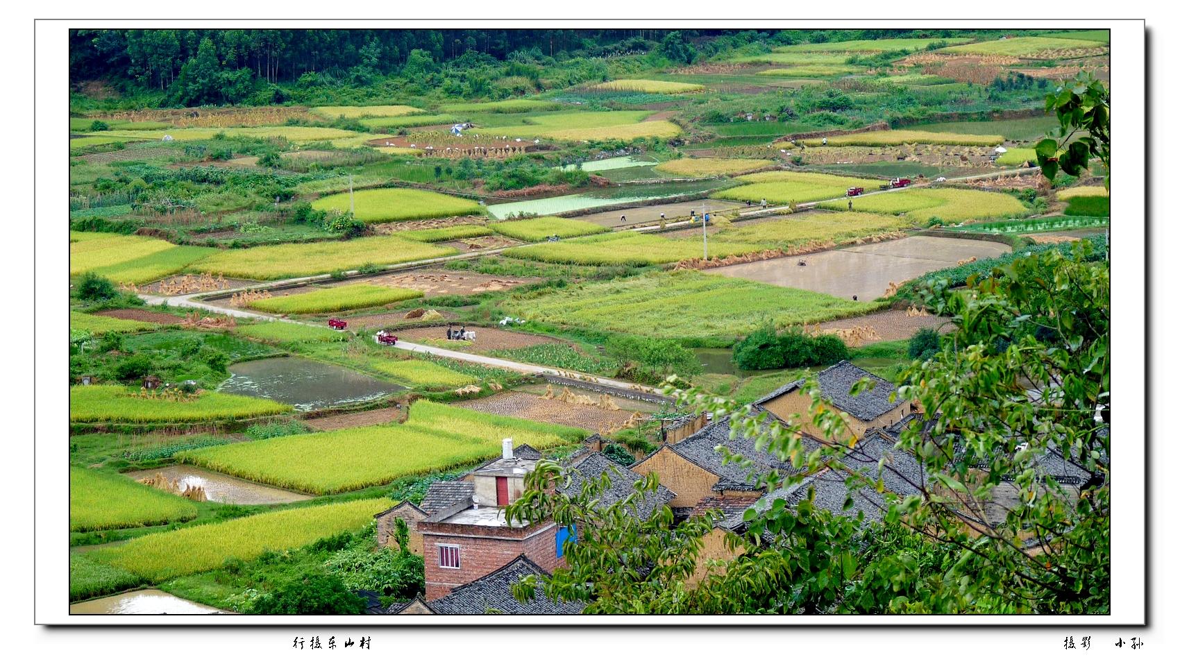 行摄东山村304 / 作者:与孤独共舞 / 帖子ID:93586