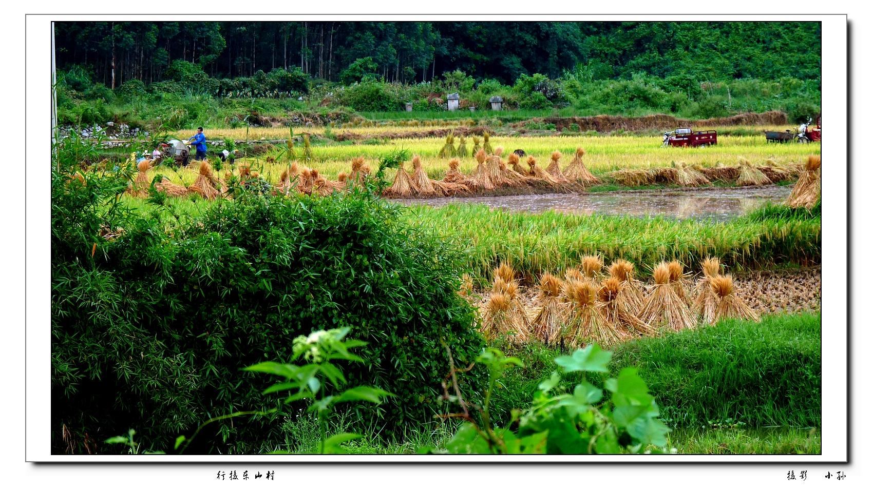 行摄东山村550 / 作者:与孤独共舞 / 帖子ID:93586