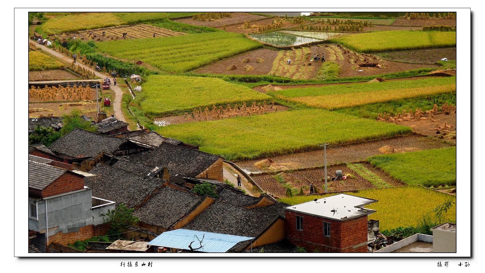 行摄东山村721 / 作者:与孤独共舞 / 帖子ID:93586