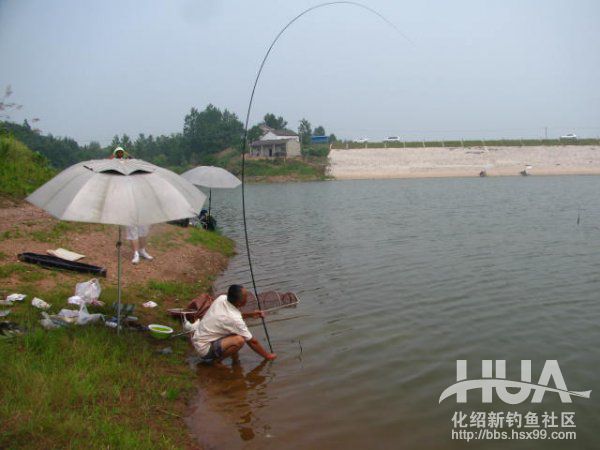 精彩大片----决不放弃964 / 作者:钱是今生 / 帖子ID:93616