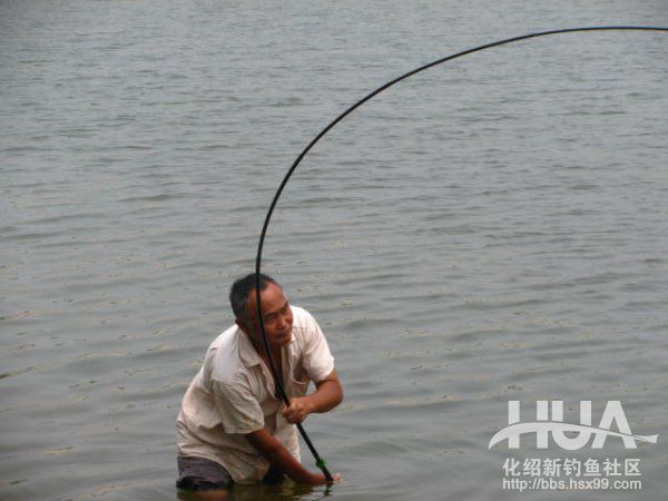 精彩大片----决不放弃983 / 作者:钱是今生 / 帖子ID:93616