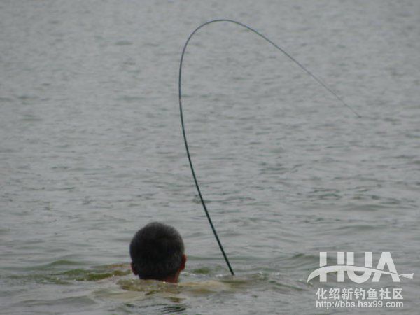 精彩大片----决不放弃892 / 作者:钱是今生 / 帖子ID:93616