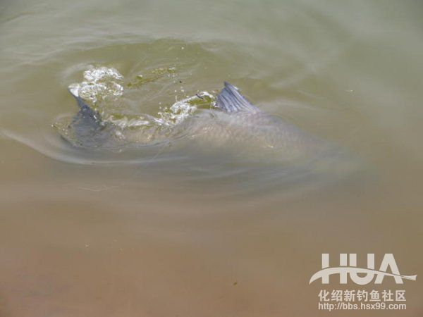 精彩大片----决不放弃725 / 作者:钱是今生 / 帖子ID:93616
