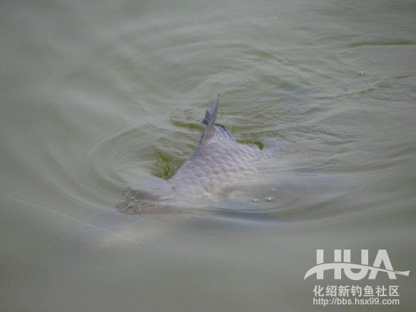 精彩大片----决不放弃428 / 作者:钱是今生 / 帖子ID:93616