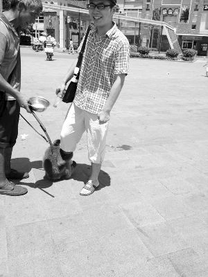 【今日吐槽8.7】狒狒盗窃团VS大师兄285 / 作者:结局、丆過如此 / 帖子ID:94012