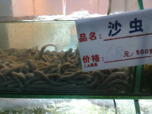 菜上桌了。562 / 作者:烂稍桶 / 帖子ID:94262