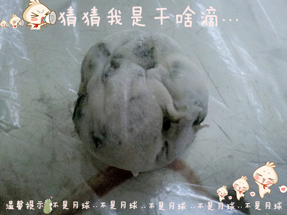 其实我是卧底...434 / 作者:九曲猫咪 / 帖子ID:94837