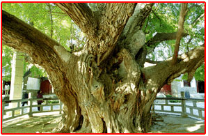 名人名居名联及轶事（一）431 / 作者:行者 / 帖子ID:95501