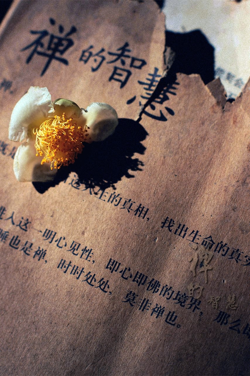 禅的智慧461 / 作者:195 / 帖子ID:95612