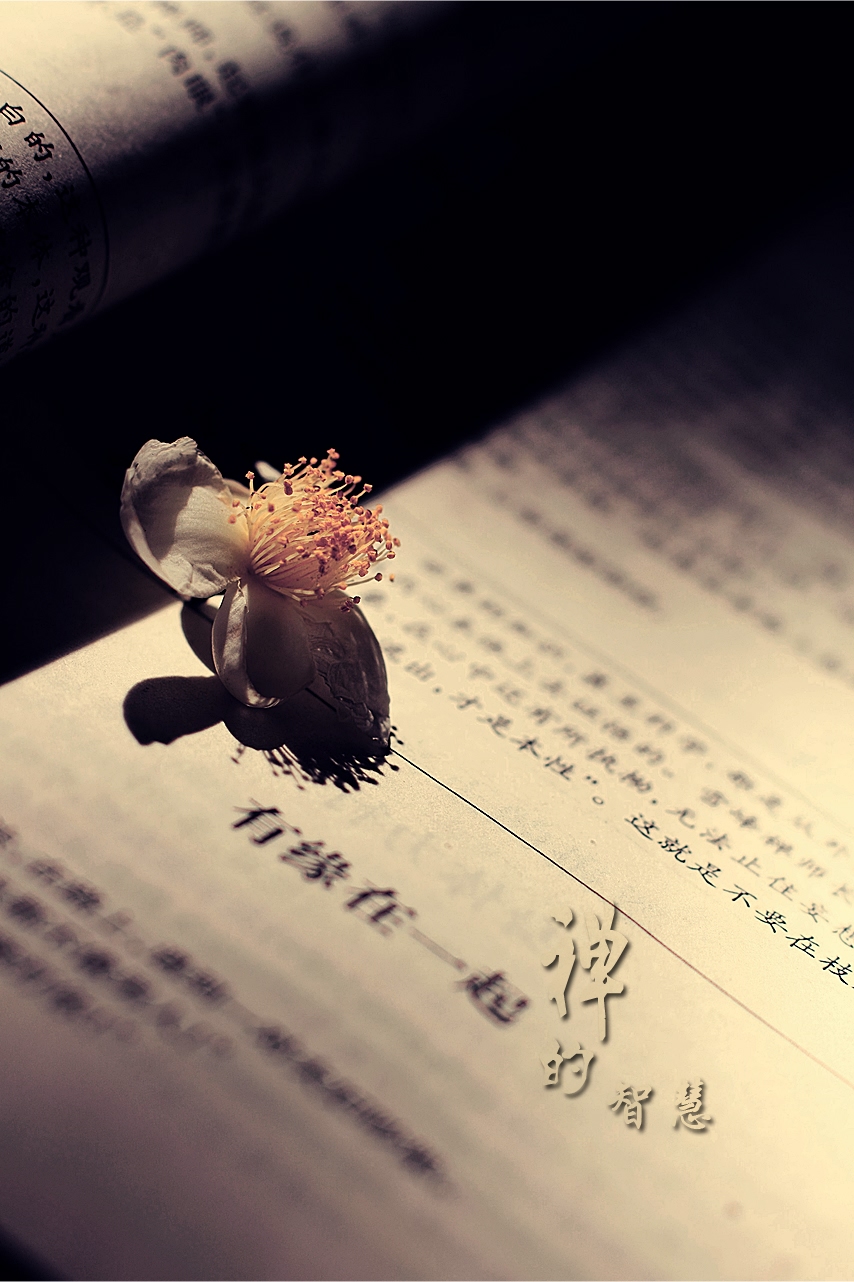 禅的智慧182 / 作者:195 / 帖子ID:95612