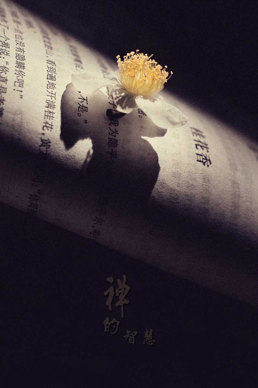 禅的智慧233 / 作者:195 / 帖子ID:95612