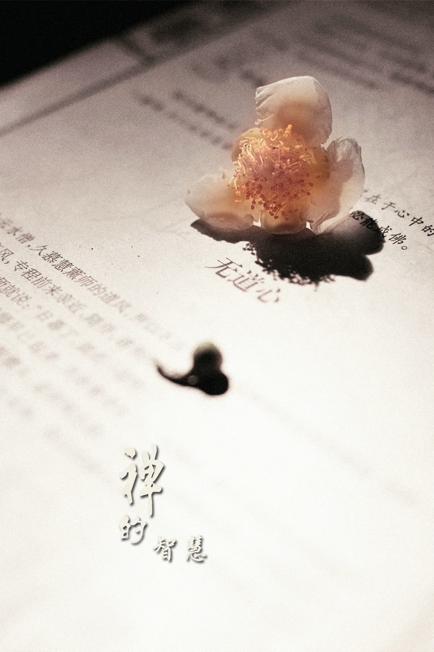 禅的智慧423 / 作者:195 / 帖子ID:95612