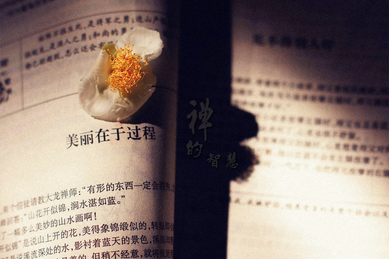 禅的智慧40 / 作者:195 / 帖子ID:95612