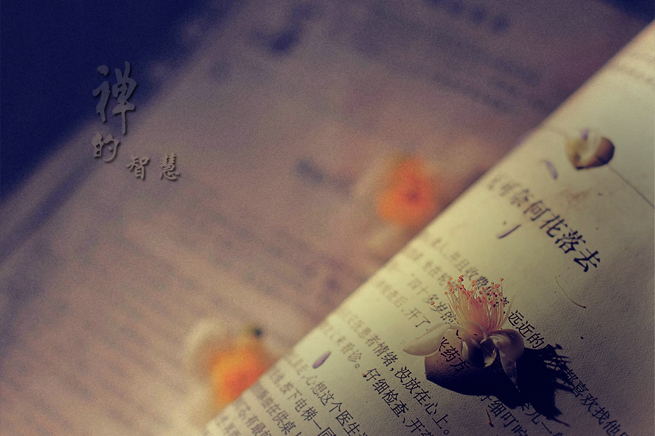 禅的智慧376 / 作者:195 / 帖子ID:95612