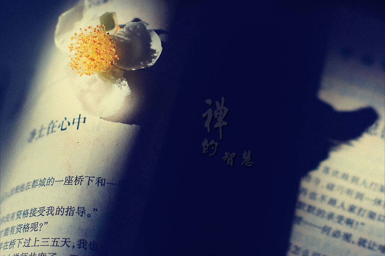 禅的智慧393 / 作者:195 / 帖子ID:95612
