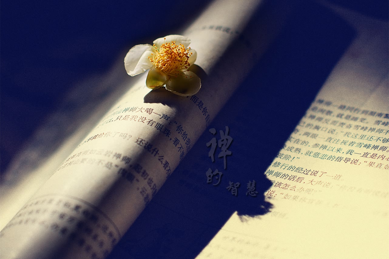 禅的智慧830 / 作者:195 / 帖子ID:95612