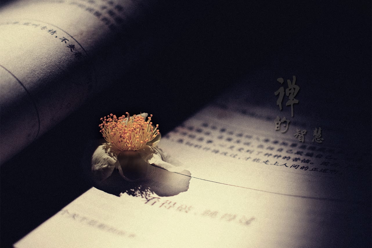 禅的智慧785 / 作者:195 / 帖子ID:95612