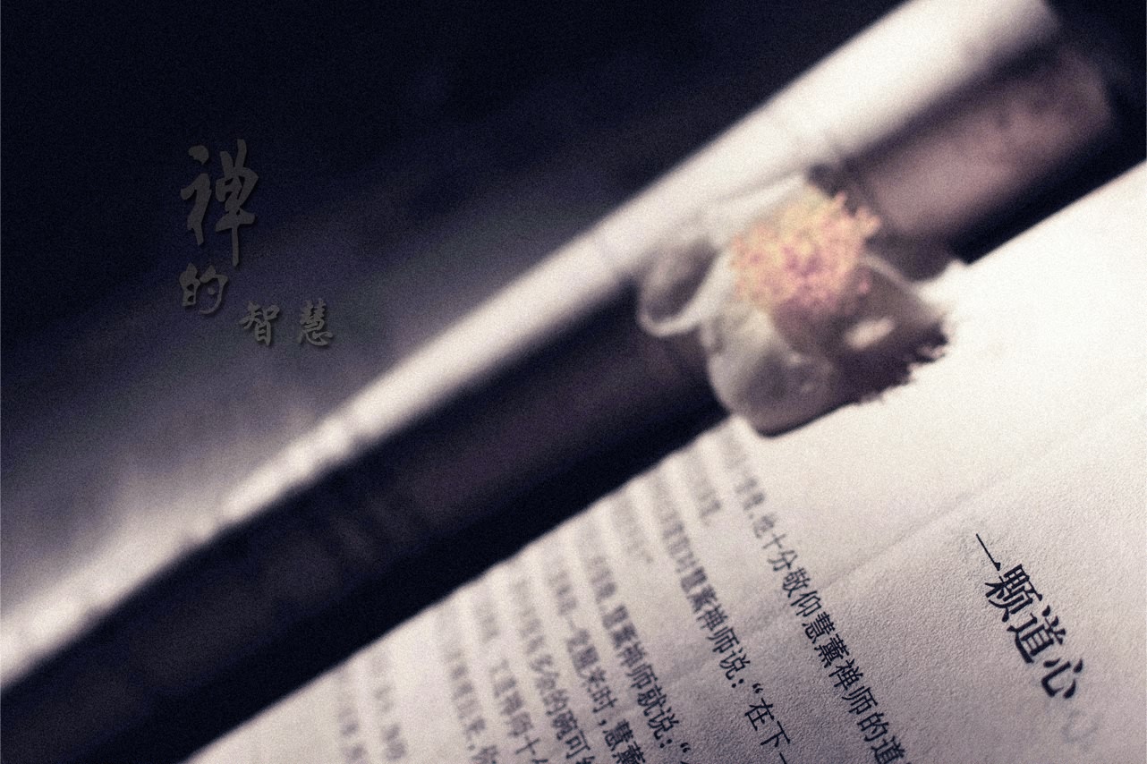 禅的智慧617 / 作者:195 / 帖子ID:95612
