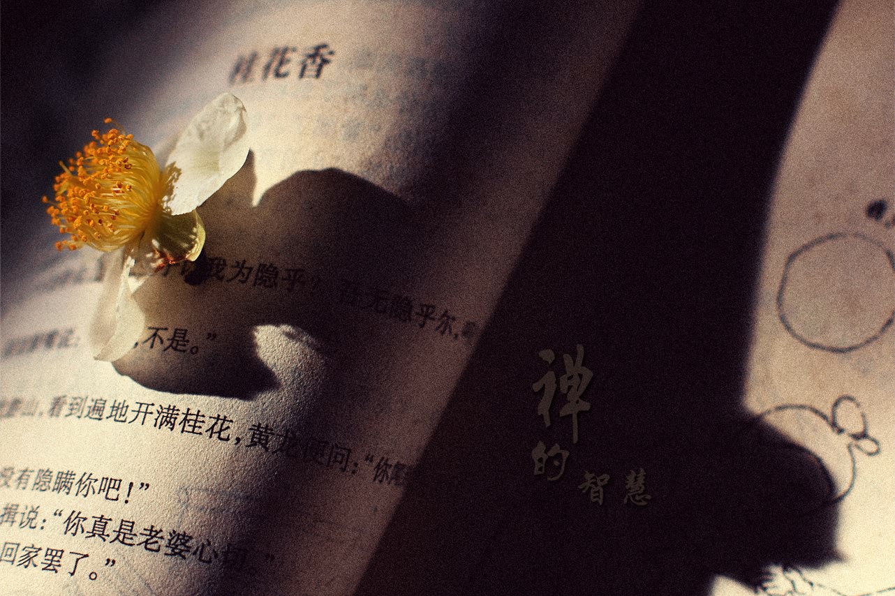 禅的智慧315 / 作者:195 / 帖子ID:95612
