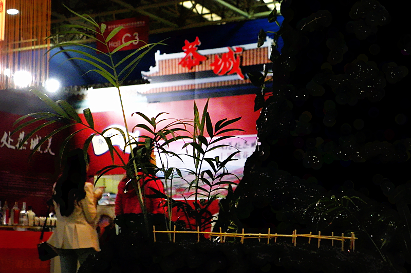 恭城参加第四届国际旅博会获圆满成功724 / 作者:柚子壳※ / 帖子ID:95696