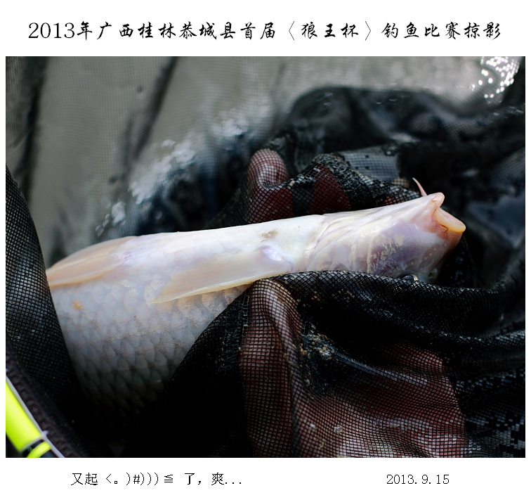 恭城首届“狼王杯”钓鱼比赛掠影210 / 作者:探路者 / 帖子ID:95756