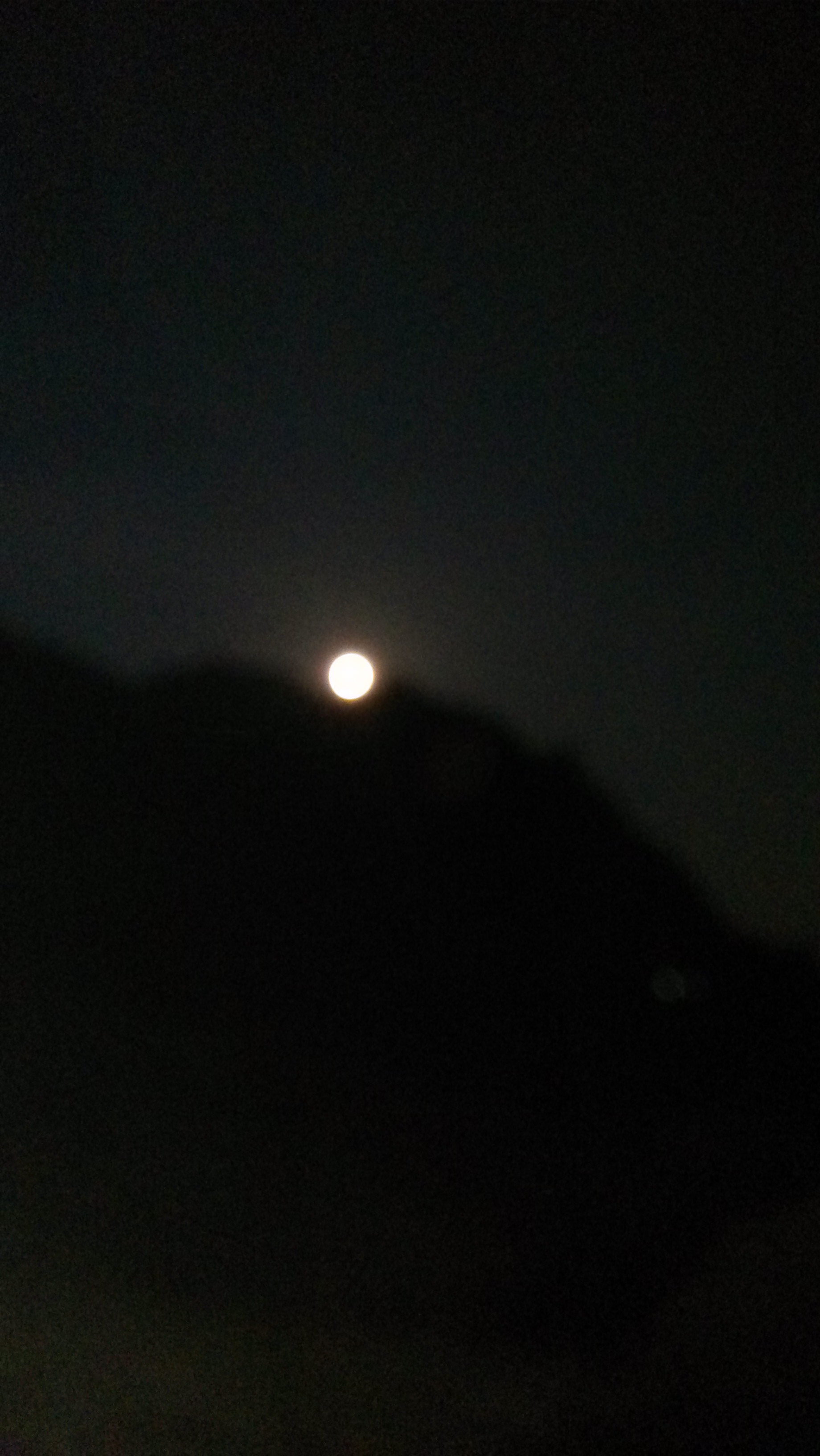 又是—年中秋夜、—个月亮爬上来!395 / 作者:钱是今生 / 帖子ID:95956