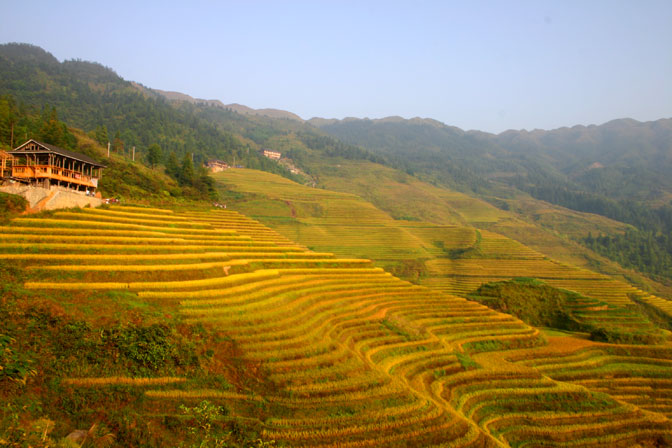 又是一年金秋时.  回忆龙脊徒步(景色）90 / 作者:Redsun红日 / 帖子ID:95976