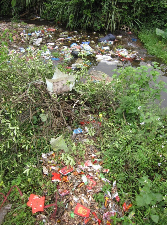 关注恭城环保：恭城乡村这样的现象还有多少？471 / 作者:北辰 / 帖子ID:96100