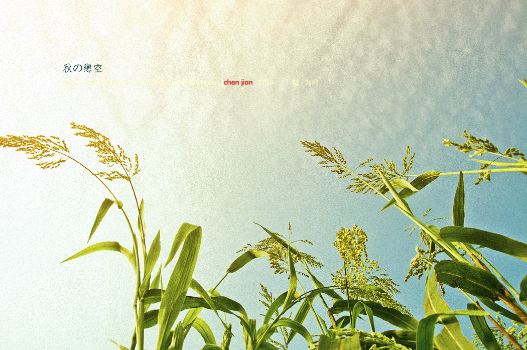 拼接零碎。309 / 作者:講不醜 / 帖子ID:96153