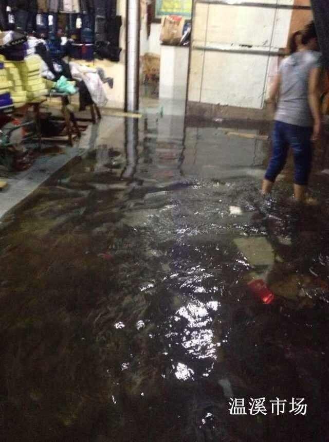 “菲特”惹的祸192 / 作者:小雨点 / 帖子ID:96415