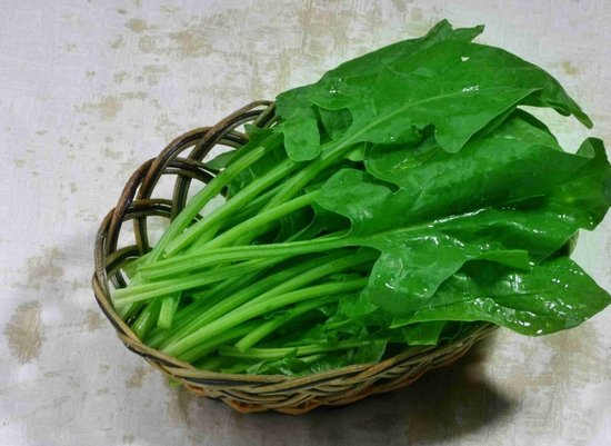 儿童营养早餐 菠菜卷饼的做法615 / 作者:悠悠亲情 / 帖子ID:96550