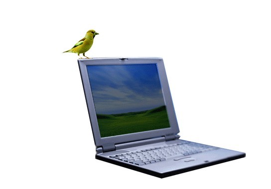 WIFI信号遍地是,免费无线上网技巧揭秘523 / 作者:520恭城 / 帖子ID:96574