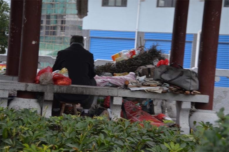 【关注恭城文明建设】把家安于此，妥否？170 / 作者:北辰 / 帖子ID:96806