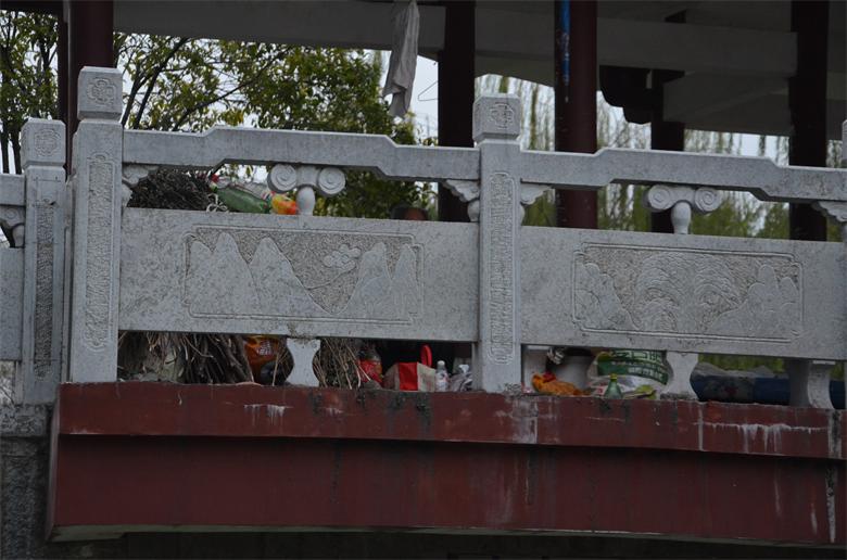 【关注恭城文明建设】把家安于此，妥否？824 / 作者:北辰 / 帖子ID:96806