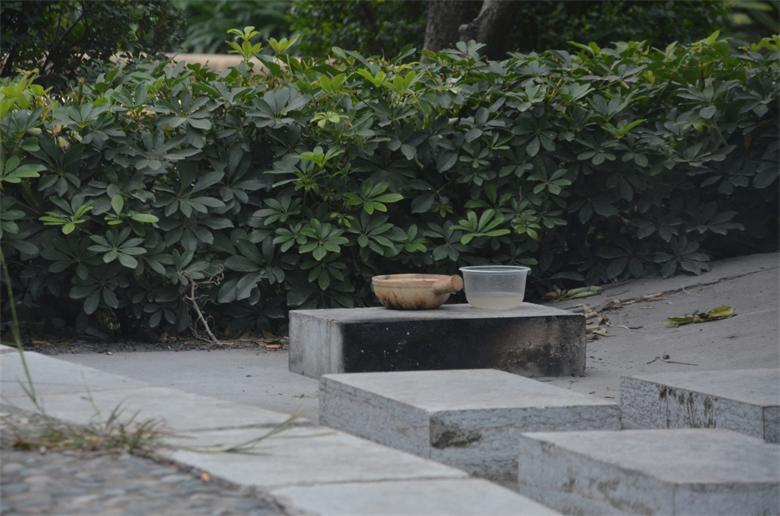 【关注恭城文明建设】把家安于此，妥否？541 / 作者:北辰 / 帖子ID:96806