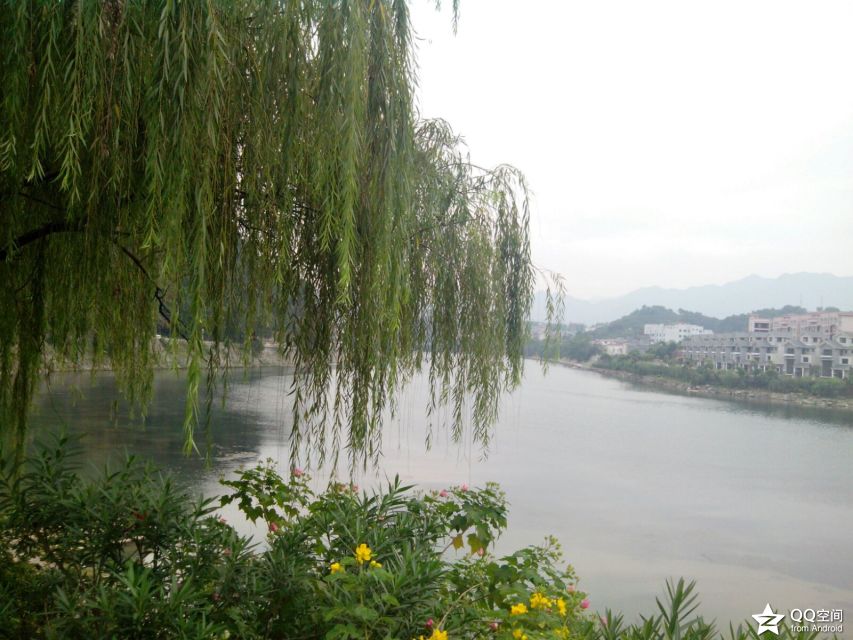 我在永福，想念恭城。542 / 作者:天情☆ / 帖子ID:97081