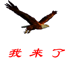 爸爸去哪儿---第三期331 / 作者:瑶乡看兰 / 帖子ID:97075