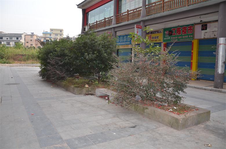 想说爱你不容易——恭城步行街，出路在何方？319 / 作者:北辰 / 帖子ID:97218