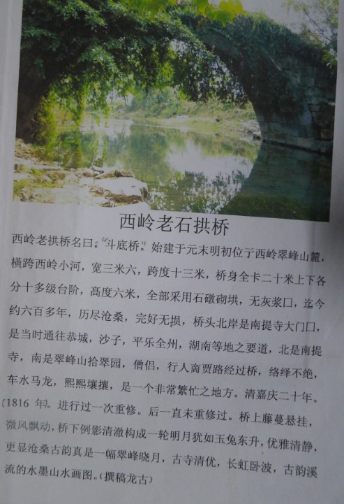 我的伯父龙古（13）359 / 作者:晚上的蜻蜓 / 帖子ID:97245