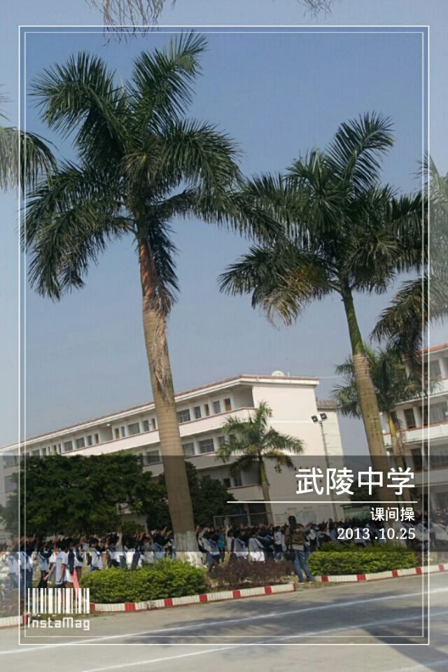 实习归来，不一样的心情。48 / 作者:Them / 帖子ID:97296