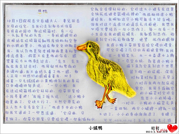 我的涂鸦——小绒鸭168 / 作者:可可 / 帖子ID:97381