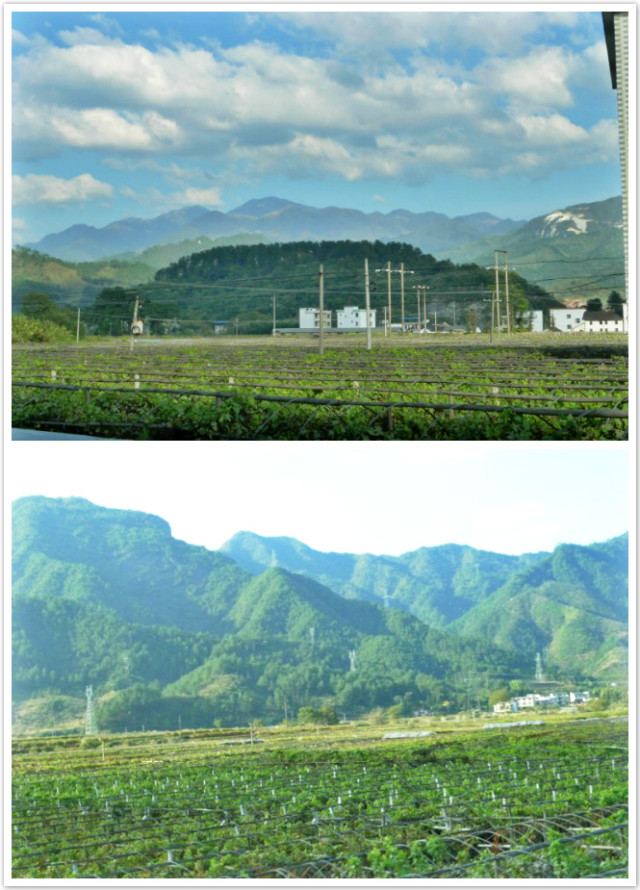 摩旅---资源870 / 作者:飞天鼠 / 帖子ID:97482