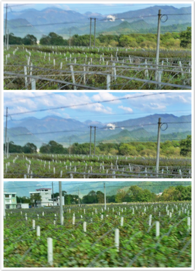 摩旅---资源769 / 作者:飞天鼠 / 帖子ID:97482