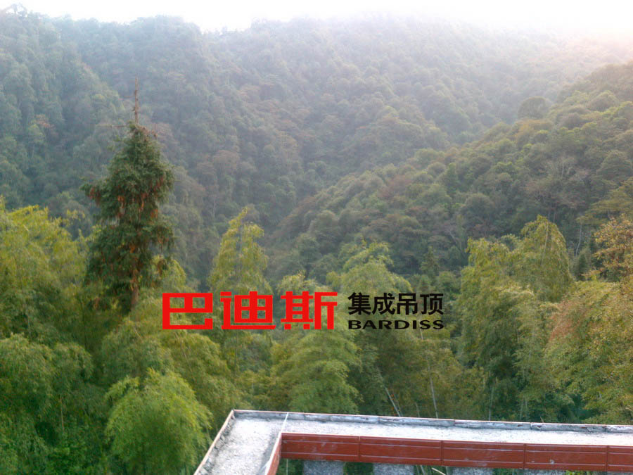西岭回头山 全屋集成吊顶505 / 作者:巴迪斯 / 帖子ID:97539