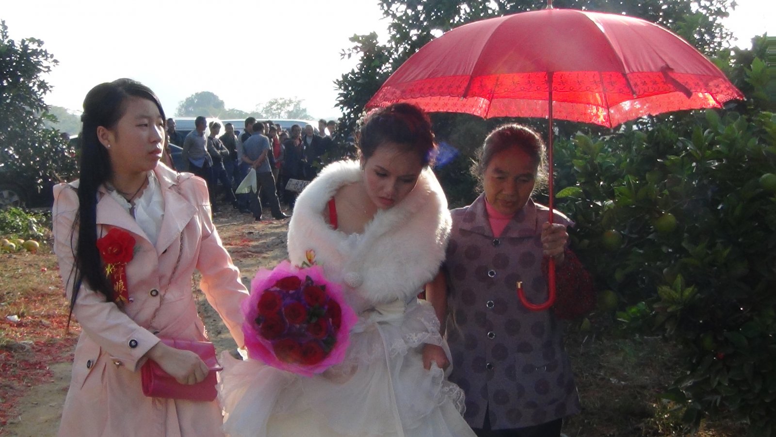 恭城龙虎乡吵新郎真搞笑?233 / 作者:龍虎袍哥 / 帖子ID:97549