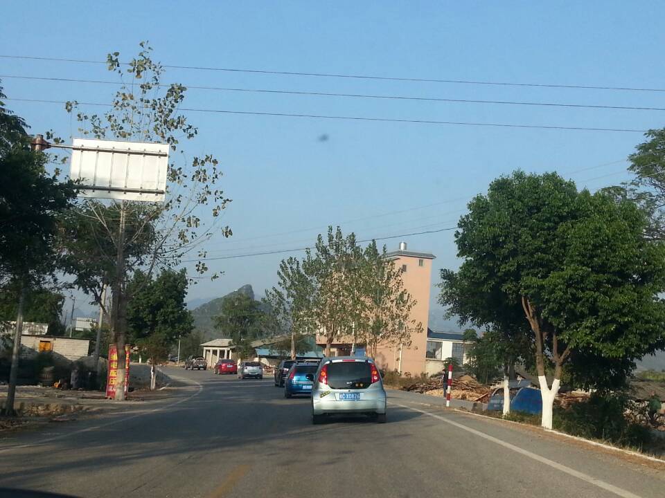 图文直播：520社区 挺进观音水滨盘王节纪实跟踪报道13 / 作者:椪柑 / 帖子ID:97576