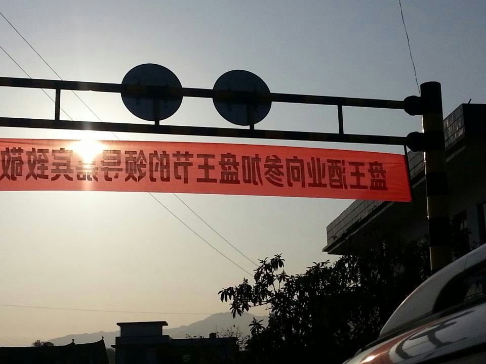 图文直播：520社区 挺进观音水滨盘王节纪实跟踪报道877 / 作者:椪柑 / 帖子ID:97576