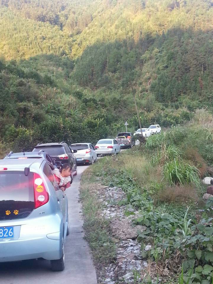 图文直播：520社区 挺进观音水滨盘王节纪实跟踪报道949 / 作者:椪柑 / 帖子ID:97576